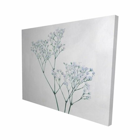 FONDO 16 x 20 in. Babys-Breath Flowers-Print on Canvas FO2795188